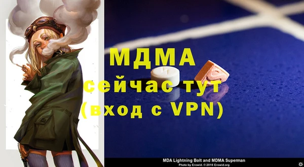a pvp Бородино