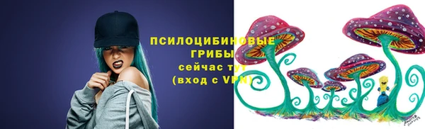 СК Бронницы