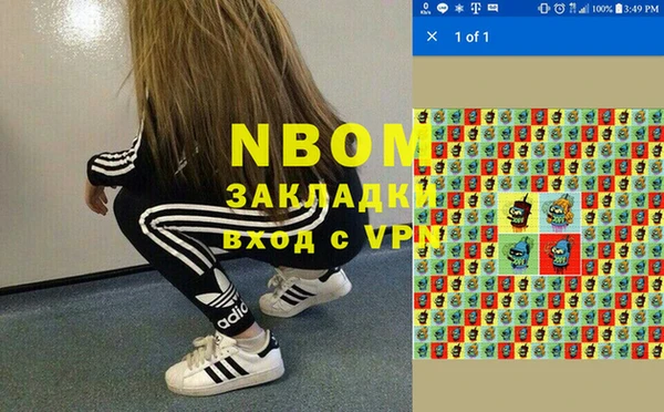 a pvp Бородино