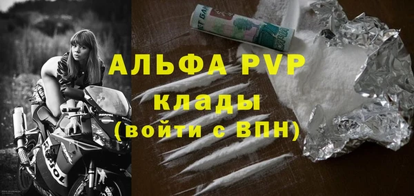 a pvp Бородино