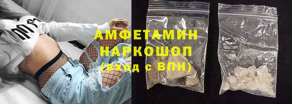 a pvp Бородино