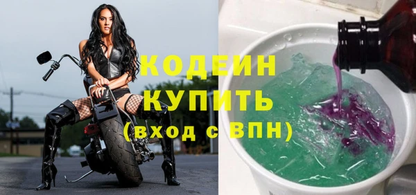 a pvp Бородино