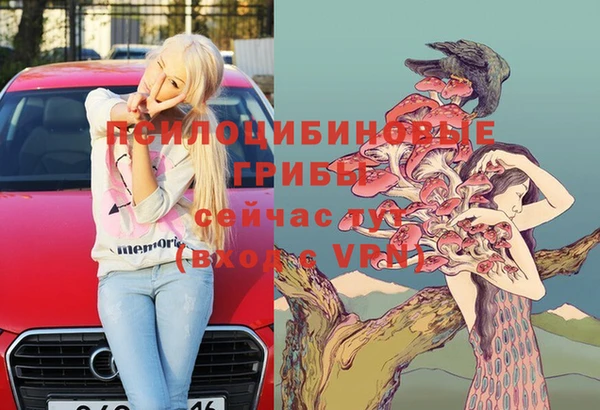 СК Бронницы