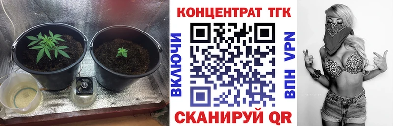 Купить где Бабушкин ТГК гашишное масло